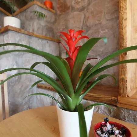 Apartamento Luxury *